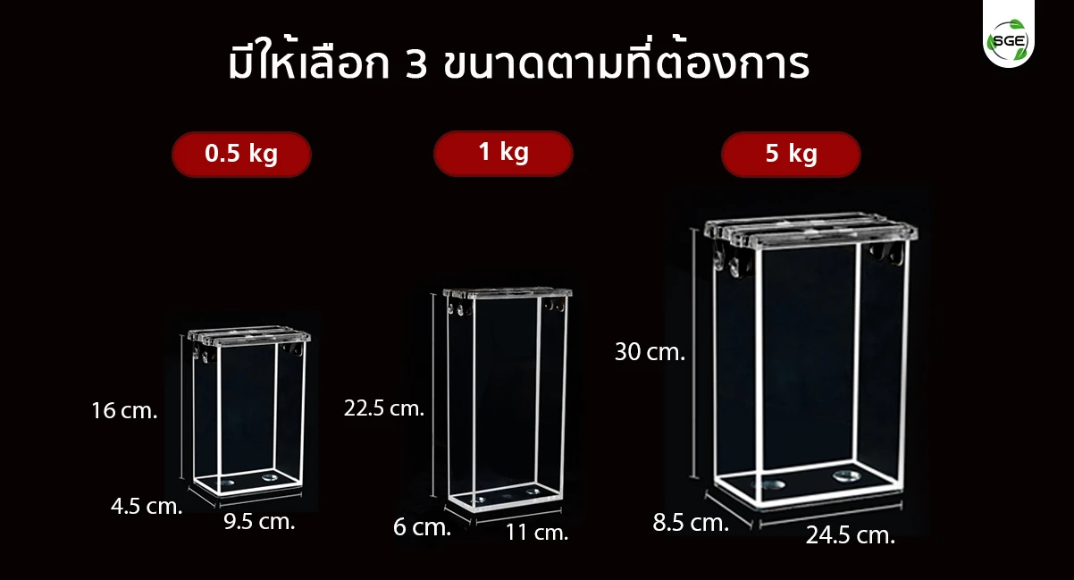 1_บล็อกใส่ข้าว_RB_Size-02