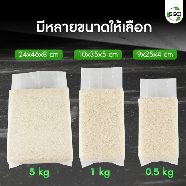 B1D-Rep-feture-07-02-100