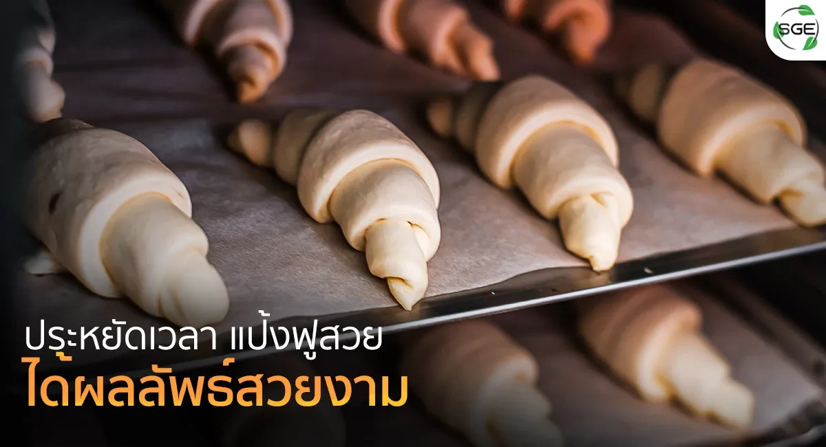 ตู้หมักแป้ง---ประหยัดเวลา_10
