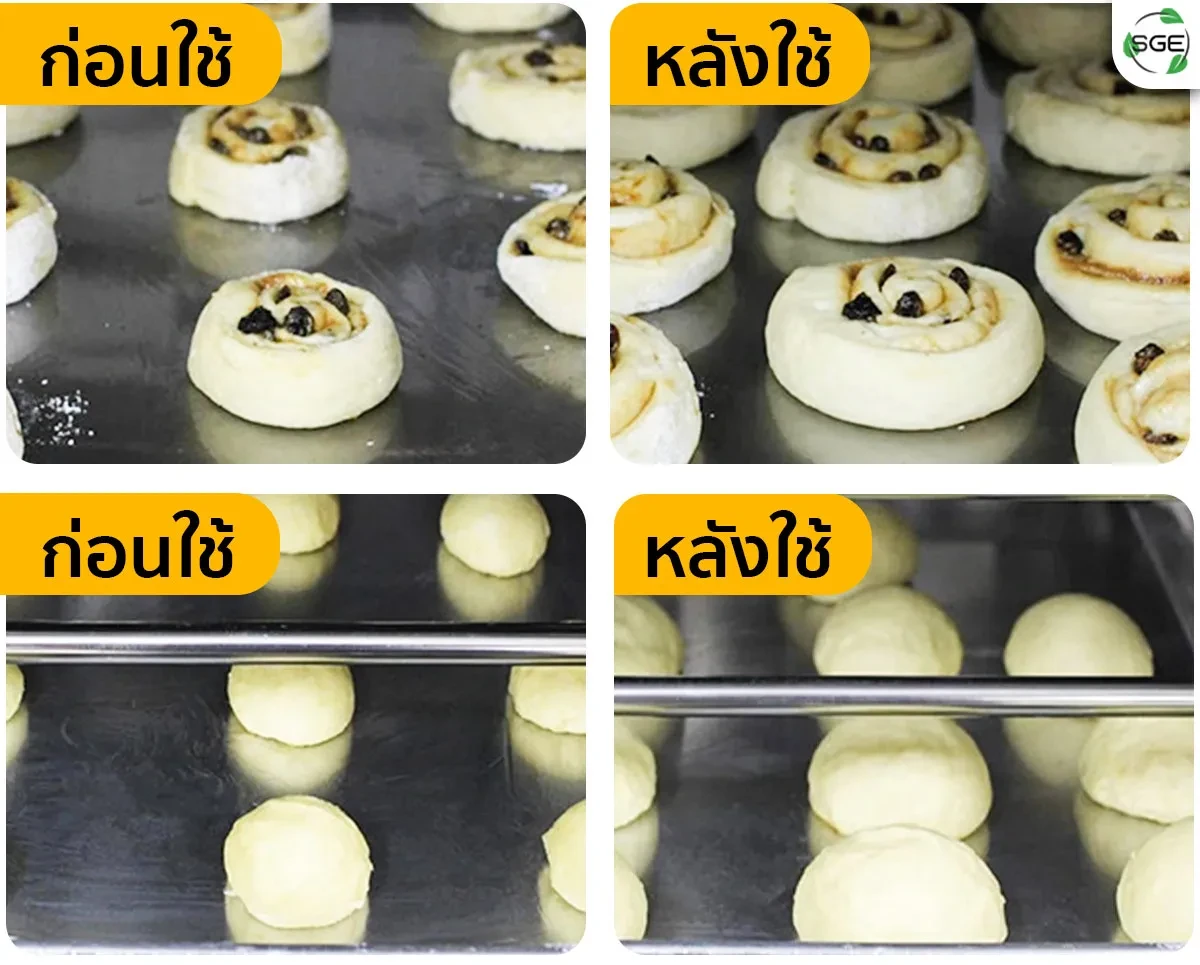 ตู้หมักแป้ง---ผลลัพธ์_12