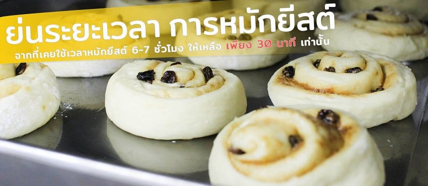 ตู้หมักแป้ง-หมักยีสต์