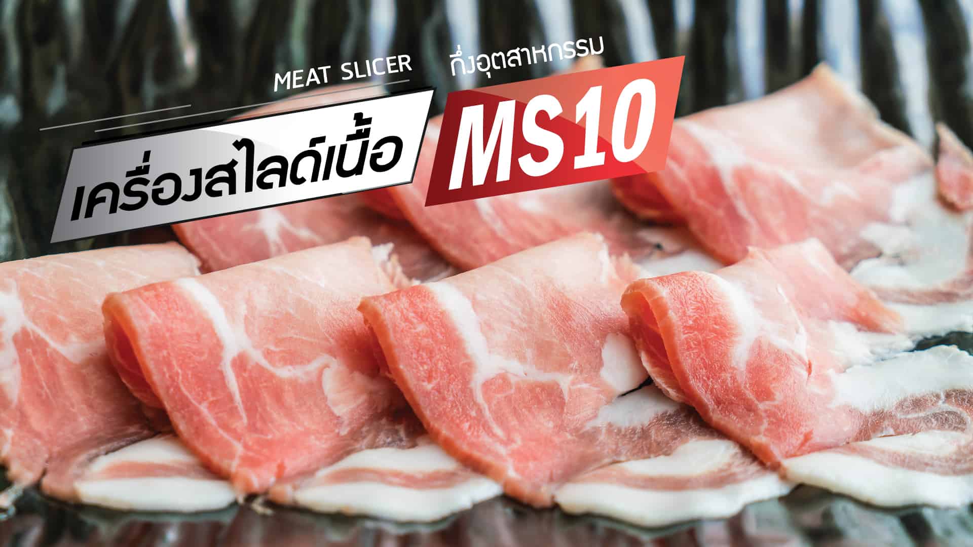 เครื่องสไลด์เนื้อ MS10-คุ้มค่า