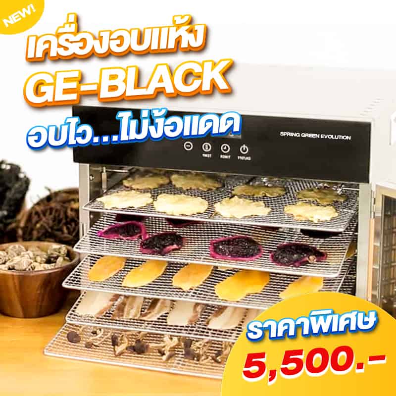 GE BLACK - Banner 1.1 ราคา