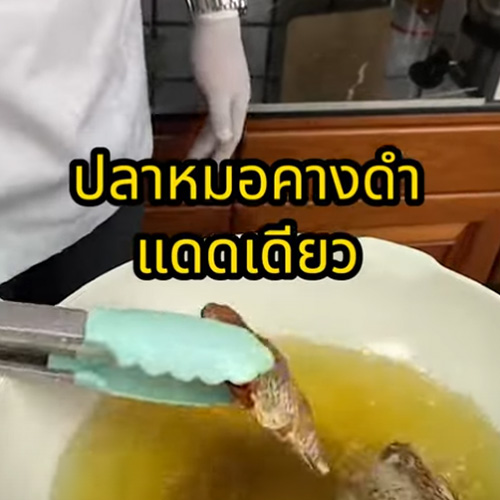 GE-black-ปลาหมอคางดำแดดเดียว