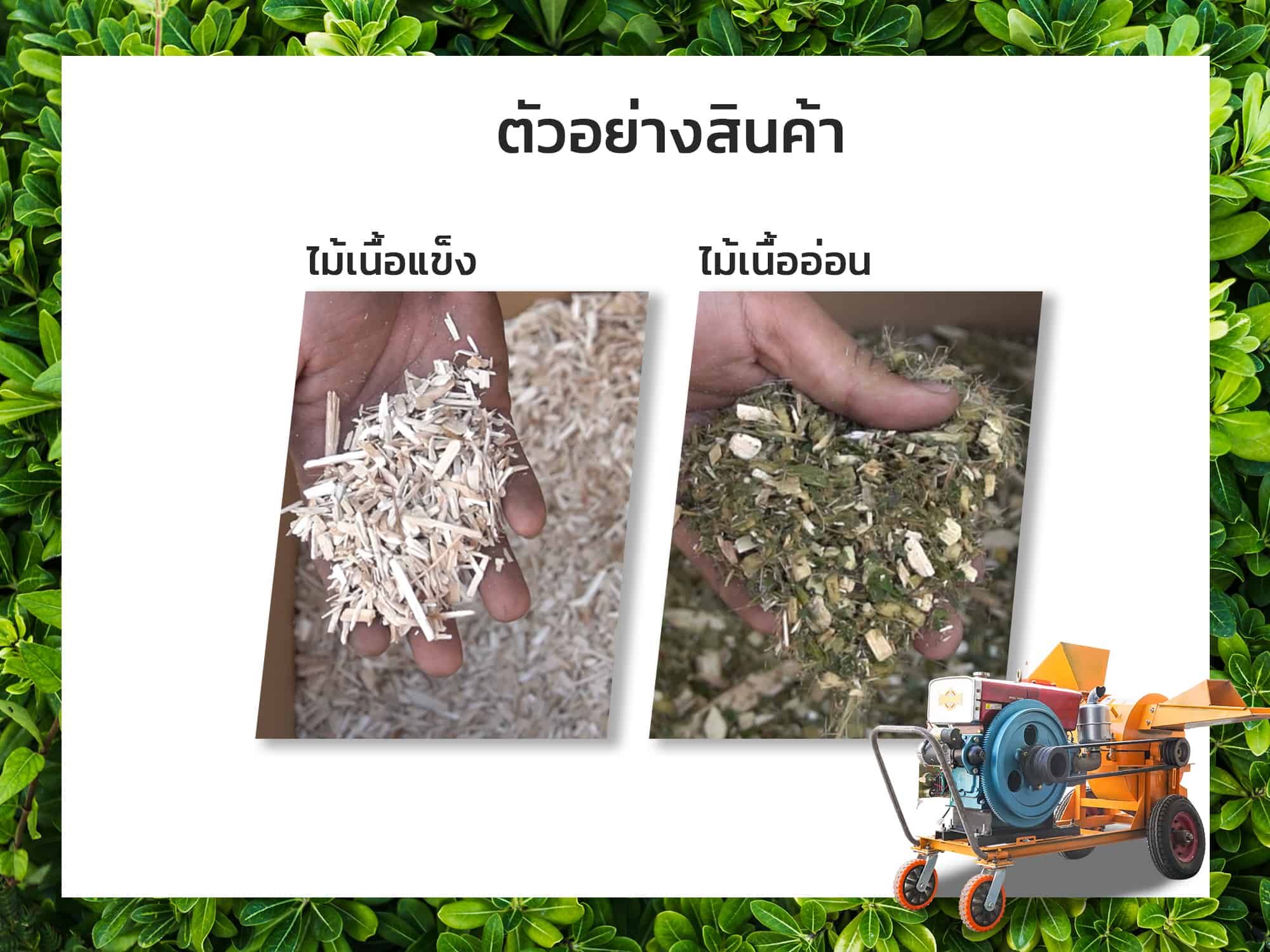 เครื่องย่อยกิ่งไม้-ตัวอย่างสินค้า