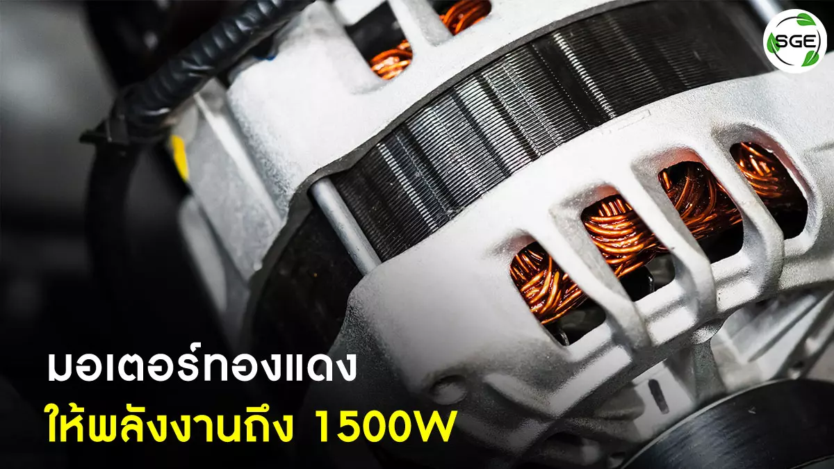 มอเตอร์ - เครื่องตัดกระดูก