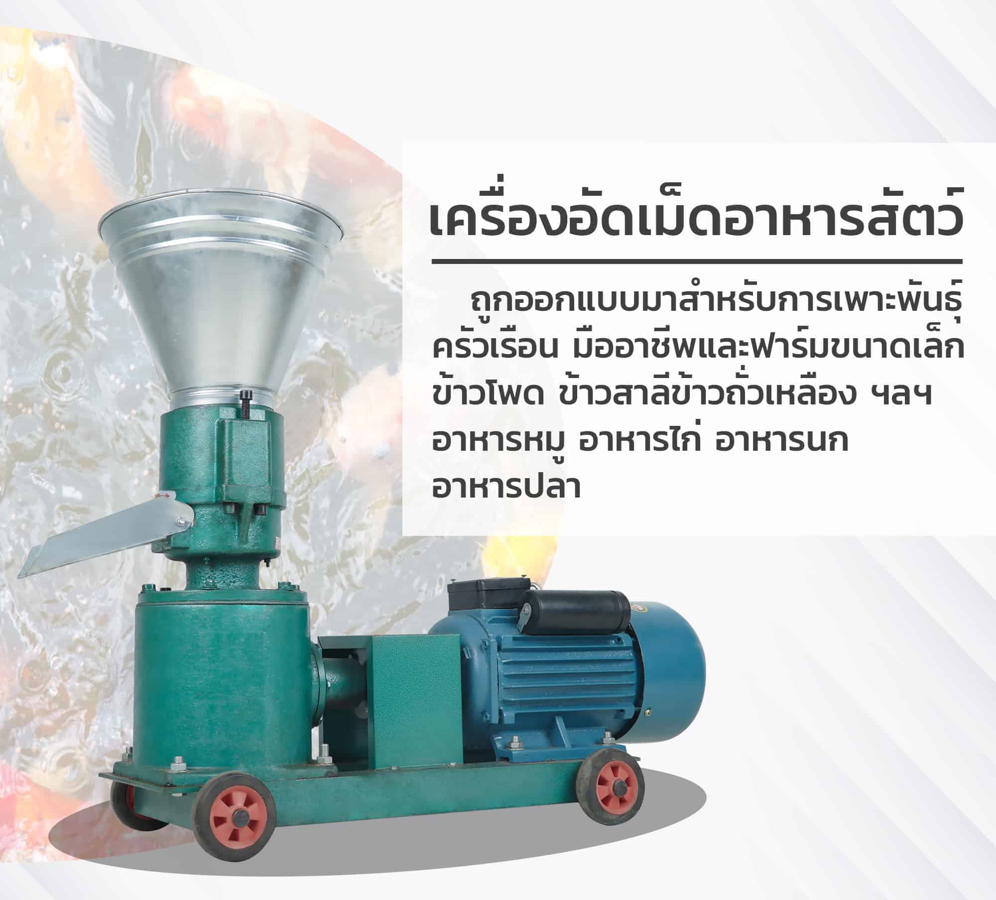 เครื่องอัดเม็ด-ข้อมูล