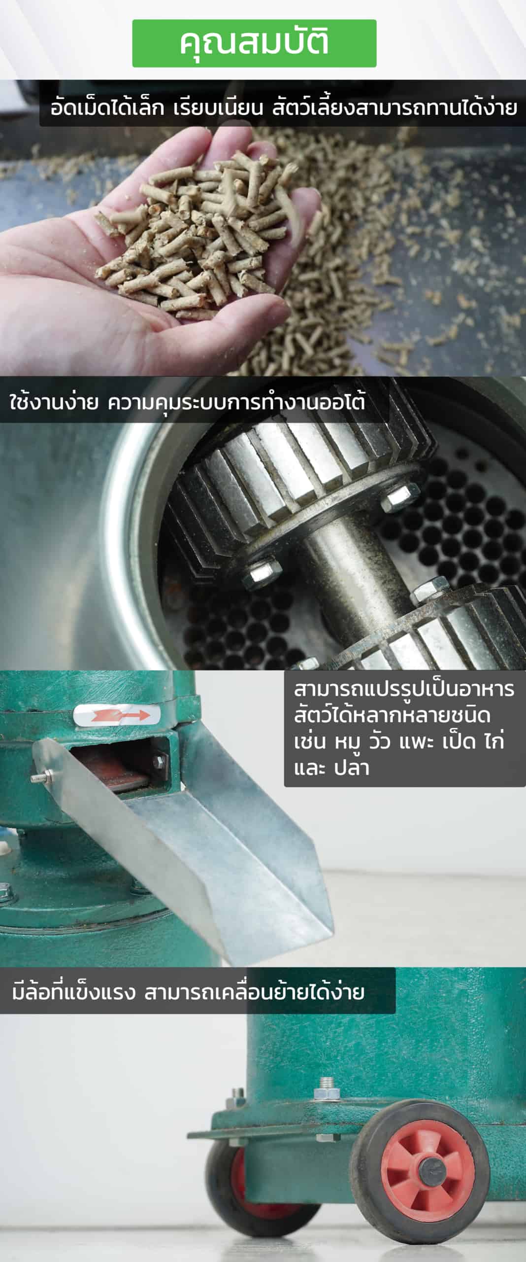 เครื่องอัดเม็ด-คุณสมบัติ
