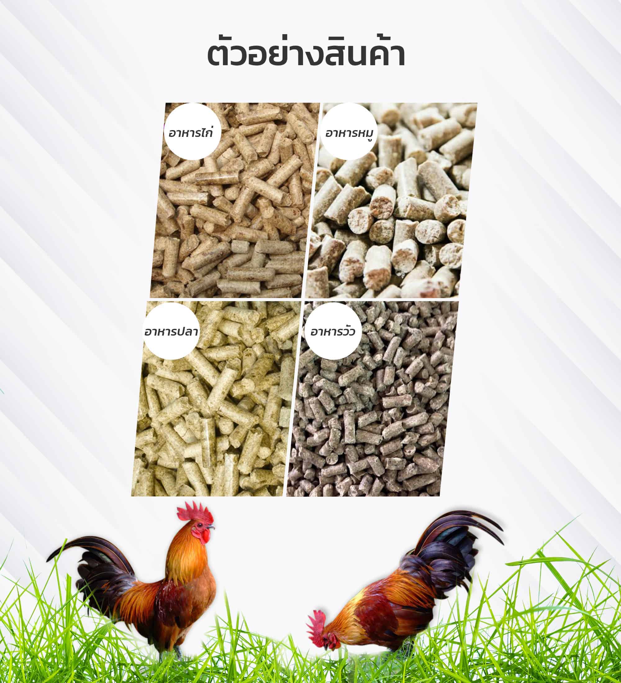 เครื่องอัดเม็ด-ตัวอย่างสินค้า