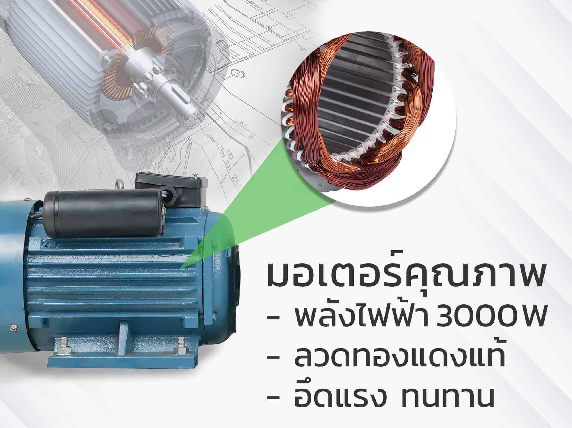 เครื่องอัดเม็ด-มอเตอร์พลังไฟ
