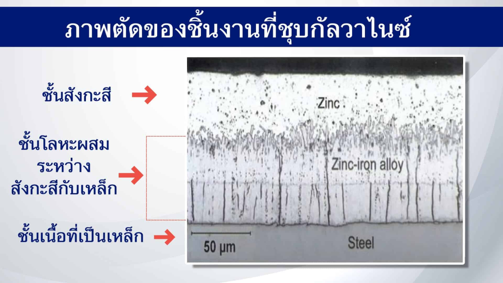 ภาพตัด เหล็กกัลวาไนซ์