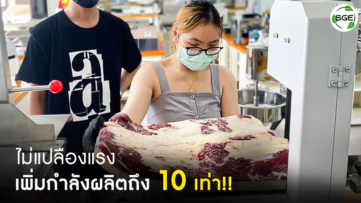 ไม่เปลืองแรง - เครื่องตัดกระดูก