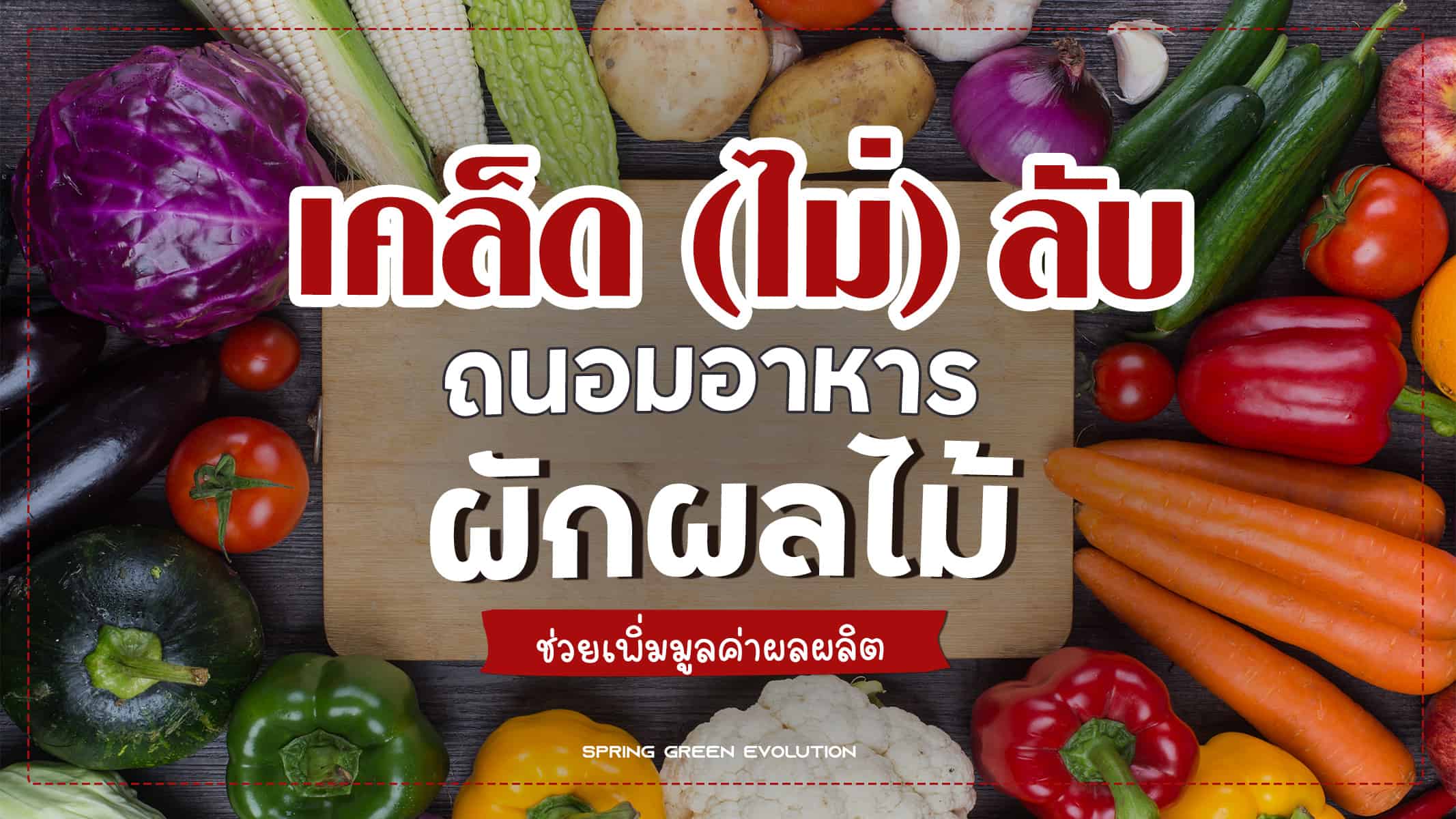 การถนอมอาหารจากผักและผลไม้ - Spring Green Evolution การถนอมอาหารจากผักและผลไม้ - Spring Green Evolution