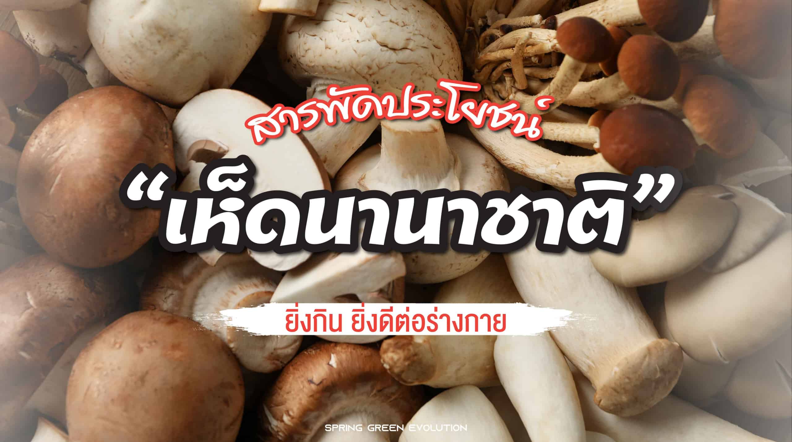 201119-Content-เห็ดนานาชนิด-มีประโยชน์สารพัดแก่ร่างกาย-01
