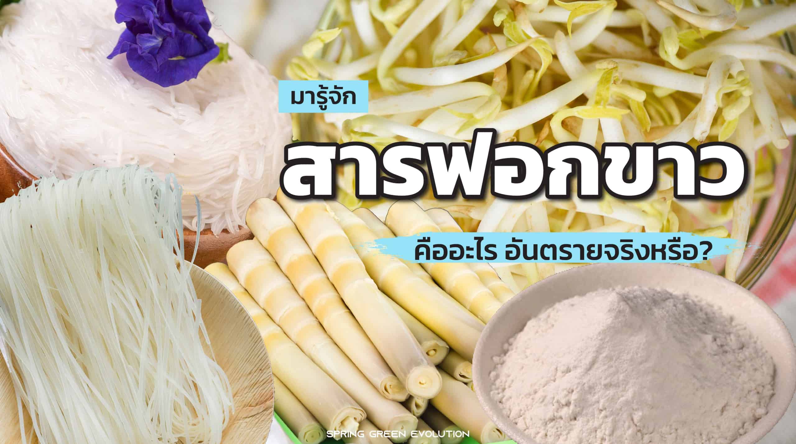 สารฟอกขาว คืออะไร อันตรายจริงหรือ? - SGETHAI สารฟอกขาว คืออะไร อันตรายจริงหรือ? - Sgethai