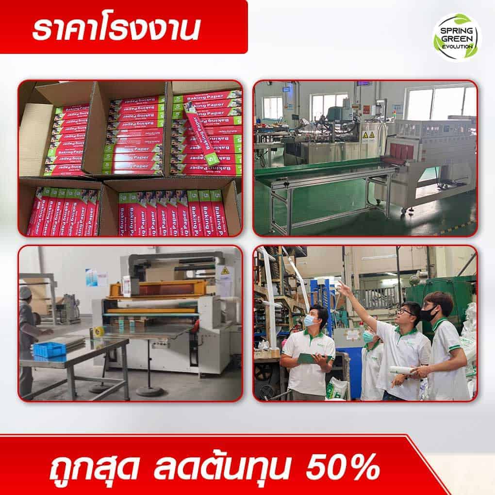 กระดาษไขรองอบ กระดาษอบขนม - Spring Green Evolution กระดาษไขรองอบ กระดาษอบขนม - Spring Green Evolution