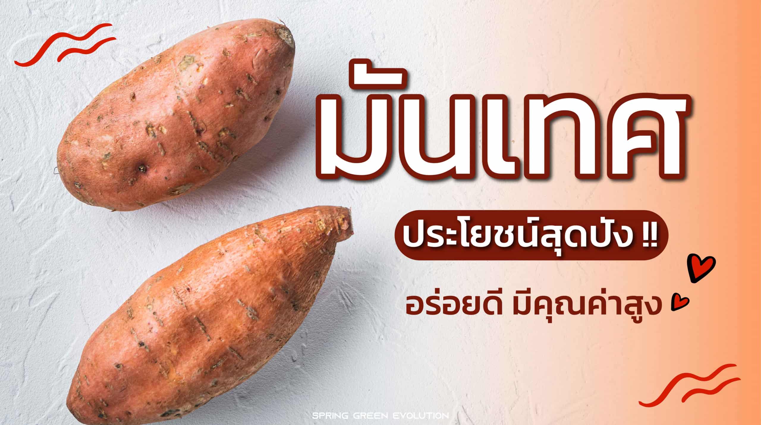 201215-Content-มันเทศ-ประโยชน์สุดปัง-อร่อยดี-มีคุณค่าสูง-01