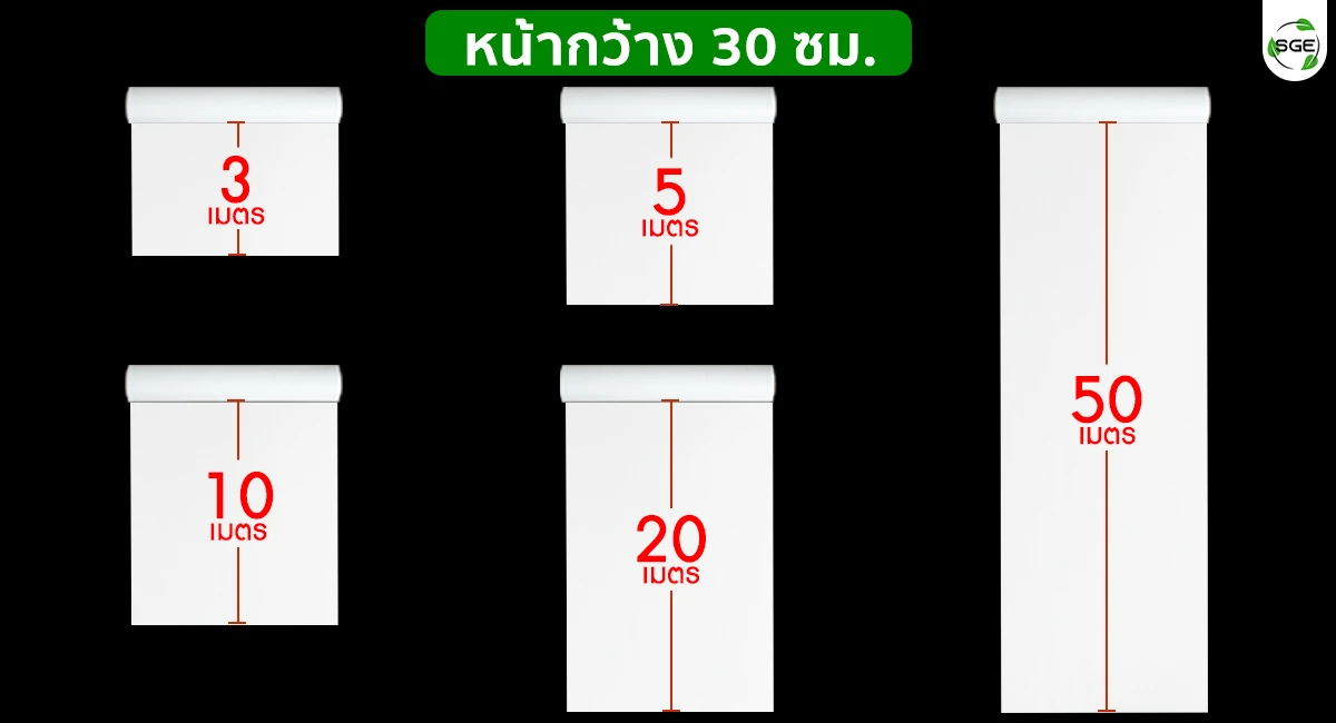 Banner-PP-Size-02