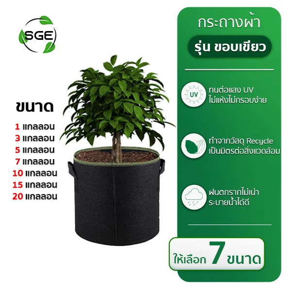 กระถางผ้าปลูกต้นไม้ - Spring Green Evolution กระถางผ้าปลูกต้นไม้ - Spring Green Evolution