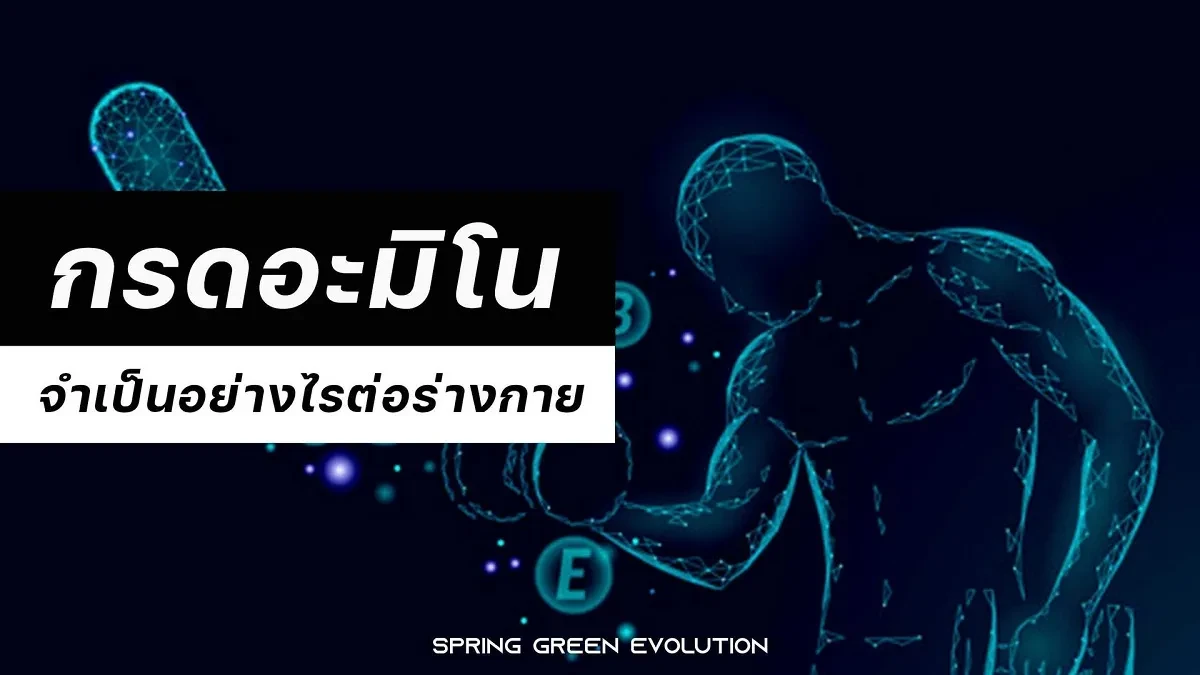 กรดอะมิโน-2021