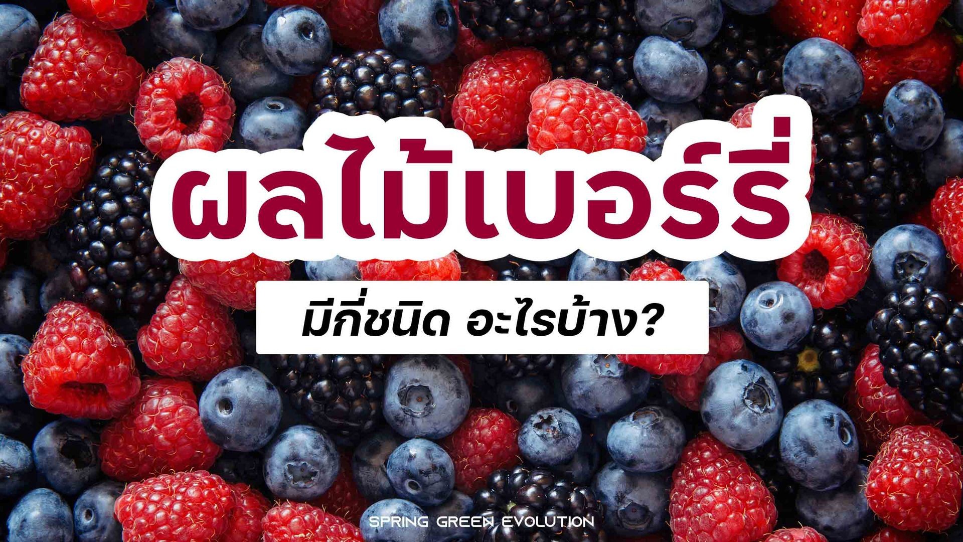ผลไม้เบอร์รี่-2021