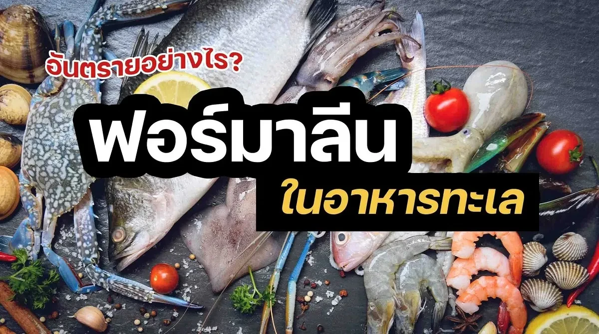 ฟอร์มาลีน-2021_4