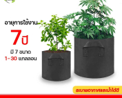 หน้า1---กระถางผ้า-1
