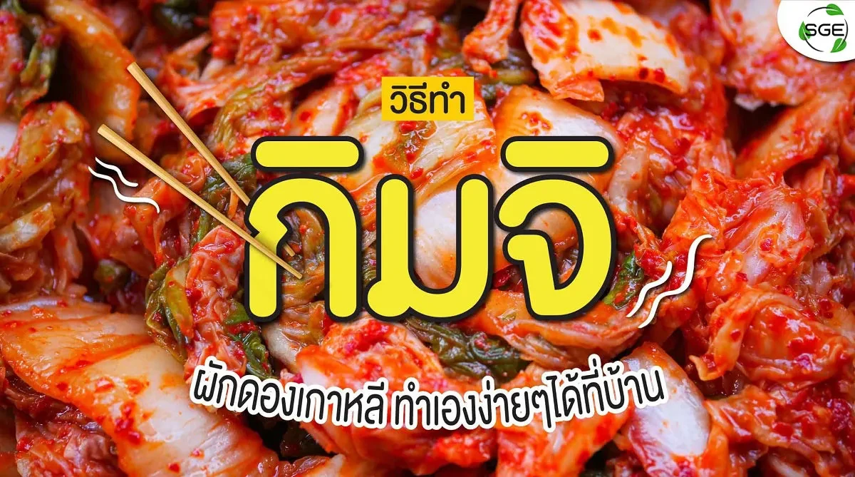 210324-Content-วิธีทำ-กิมจิ-ทำเองได้-อร่อยแบบเกาหลี01