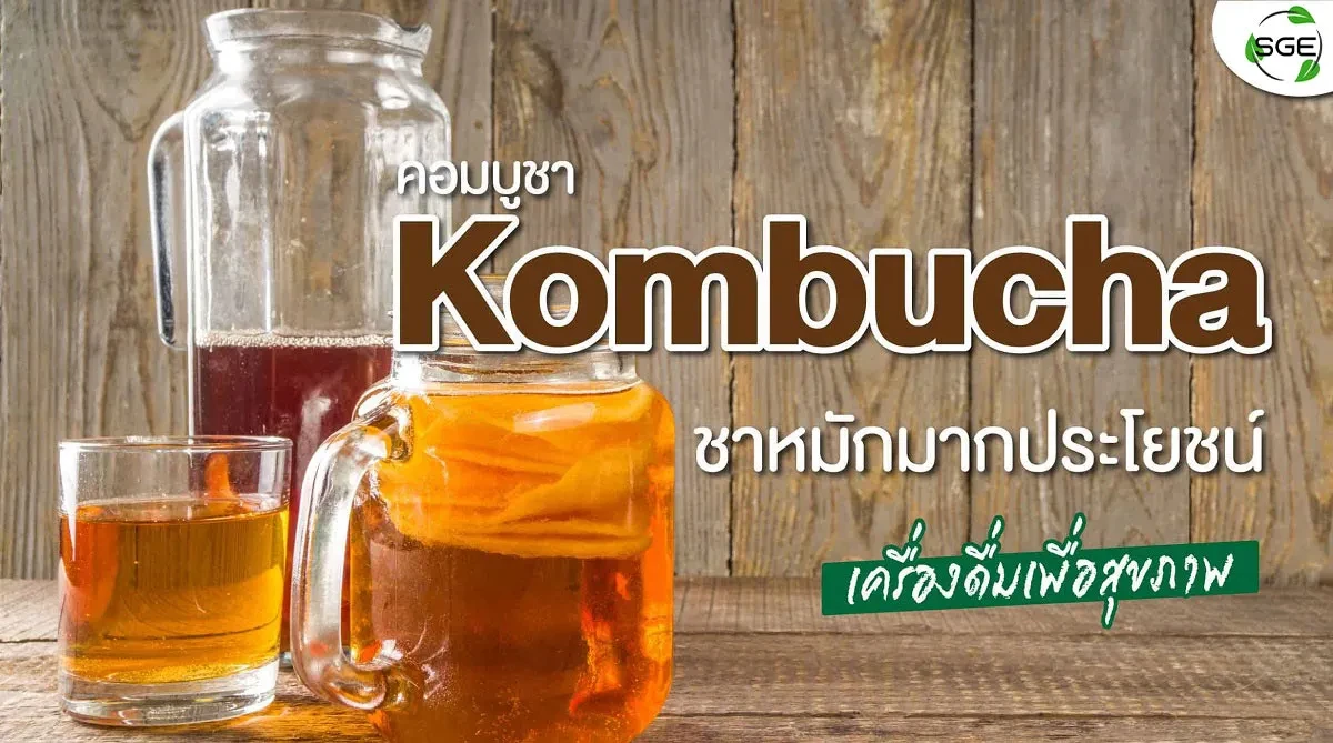 Kombucha-2021_11zon
