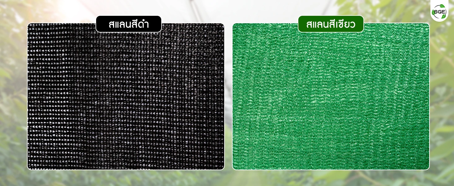 PC-Feature-SN-G-P-Color