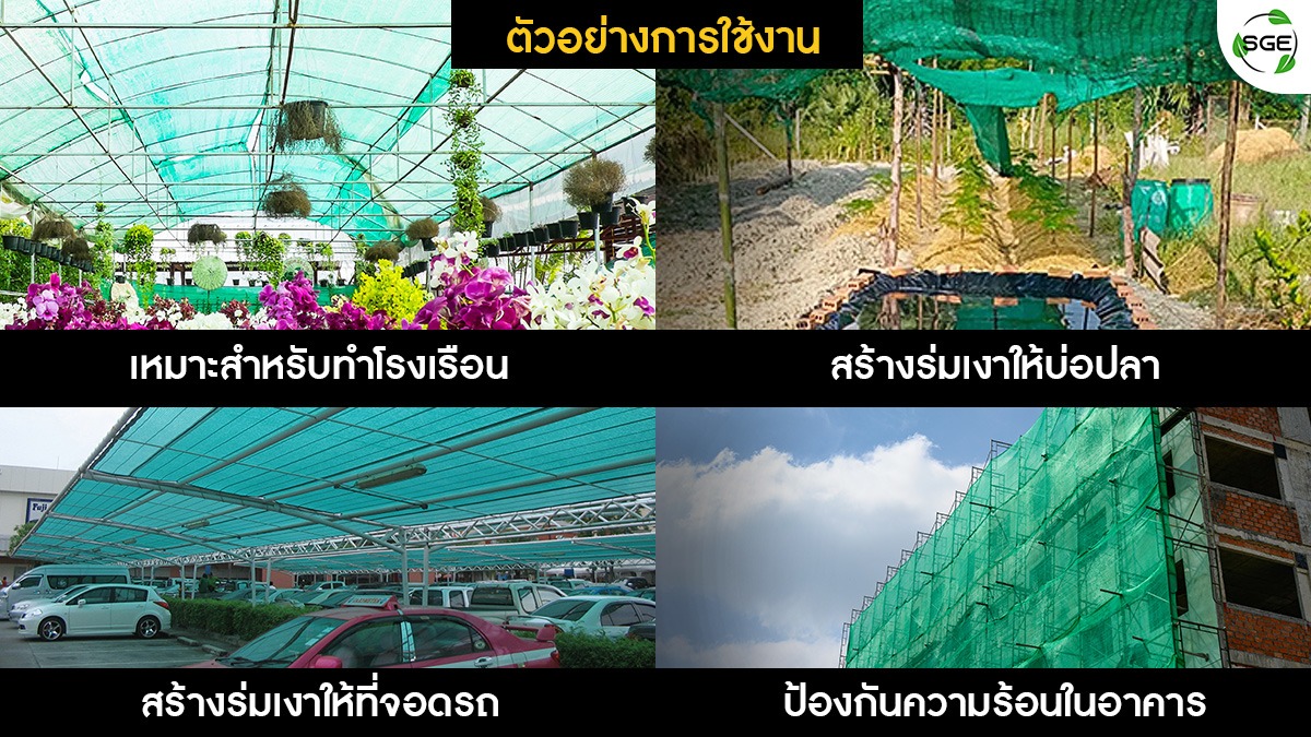 สแลนกันแดดสีเขียวประโยชน์ใช้งานจริง-