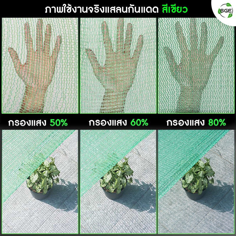 สแลนกันแดด สแลนสีขาว ผลิตจากโพลีเอทิลีน สแลนกันแดดEcoสีเขียว-Product-Shopee1-2_3