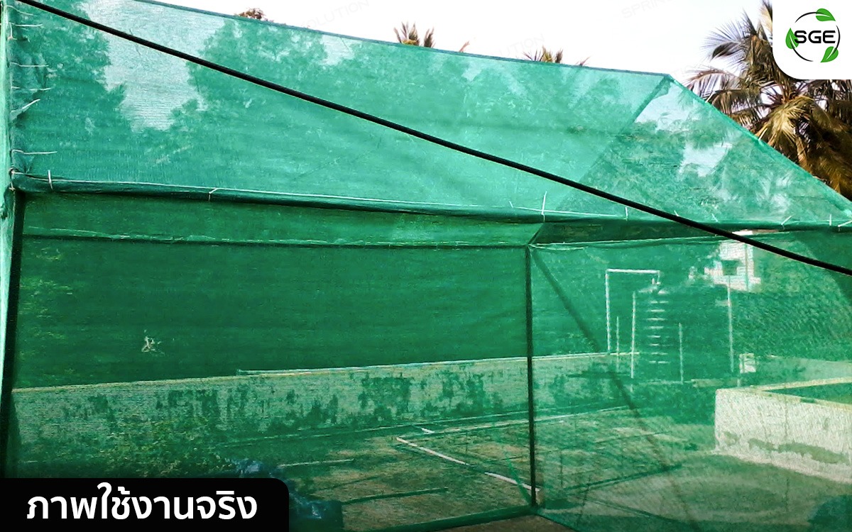 สแลนกันแดดสีเขียว-feature9_6_6
