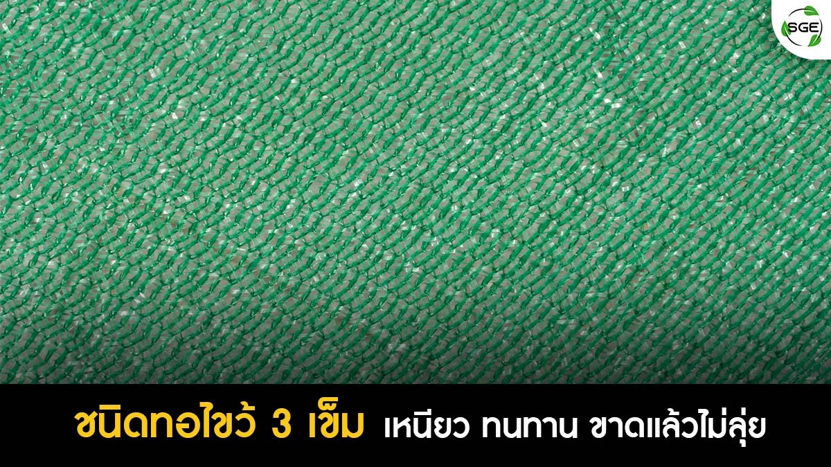 สแลนกันแดดสีเขียว สรรพคุณ