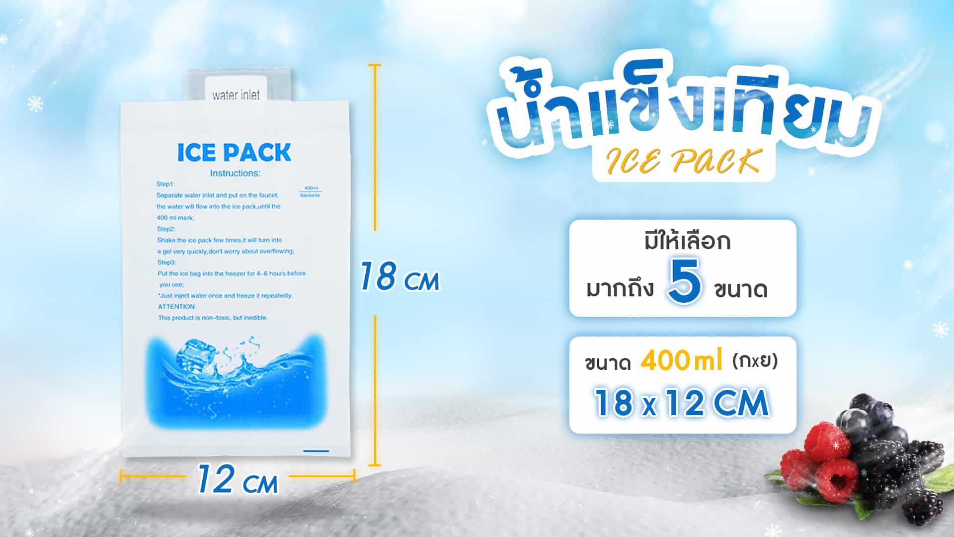 Ice-Pack-น้ำแข็งแห้ง---ขนาดV.2