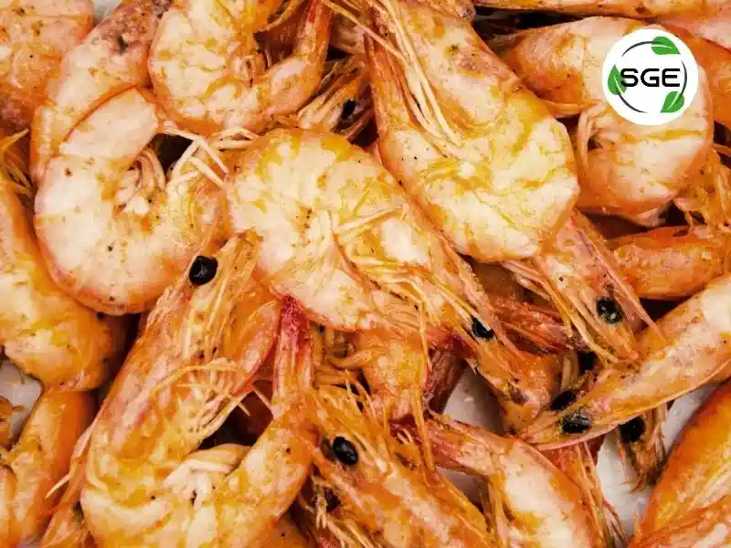 กุ้งทอดเกลือ เมนูกุ้ง ง่าย ๆ 