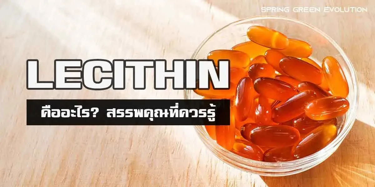 Lecithin 2021_11zon