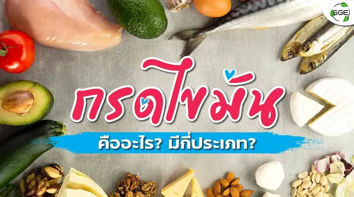 กรดไขมันคืออะไร-2021