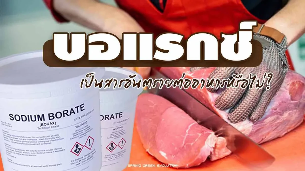 บอแรกซ์ 2021