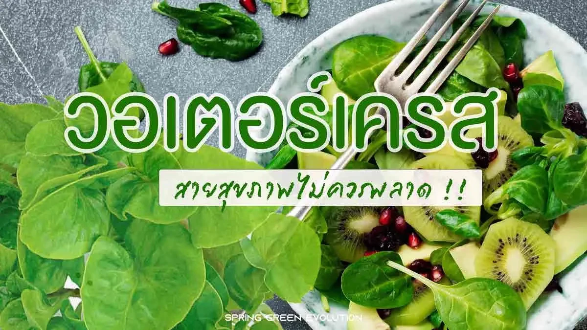 วอเตอรเครส 2021
