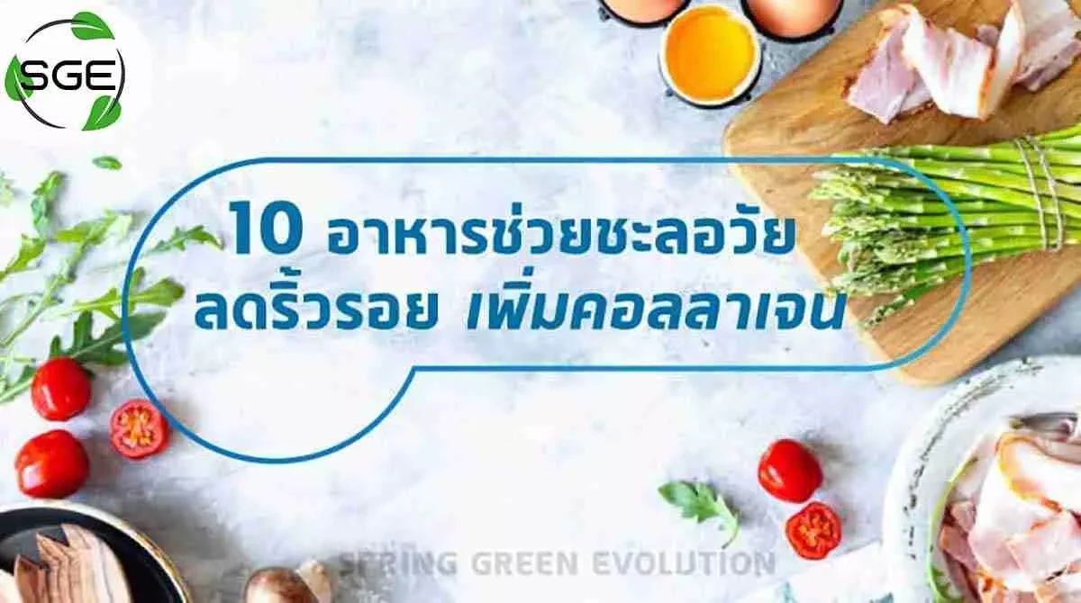 10-อาหารช่วยชะลอวัย-ลดริ้วรอย-เพิ่มคอลลาเจน-compressed