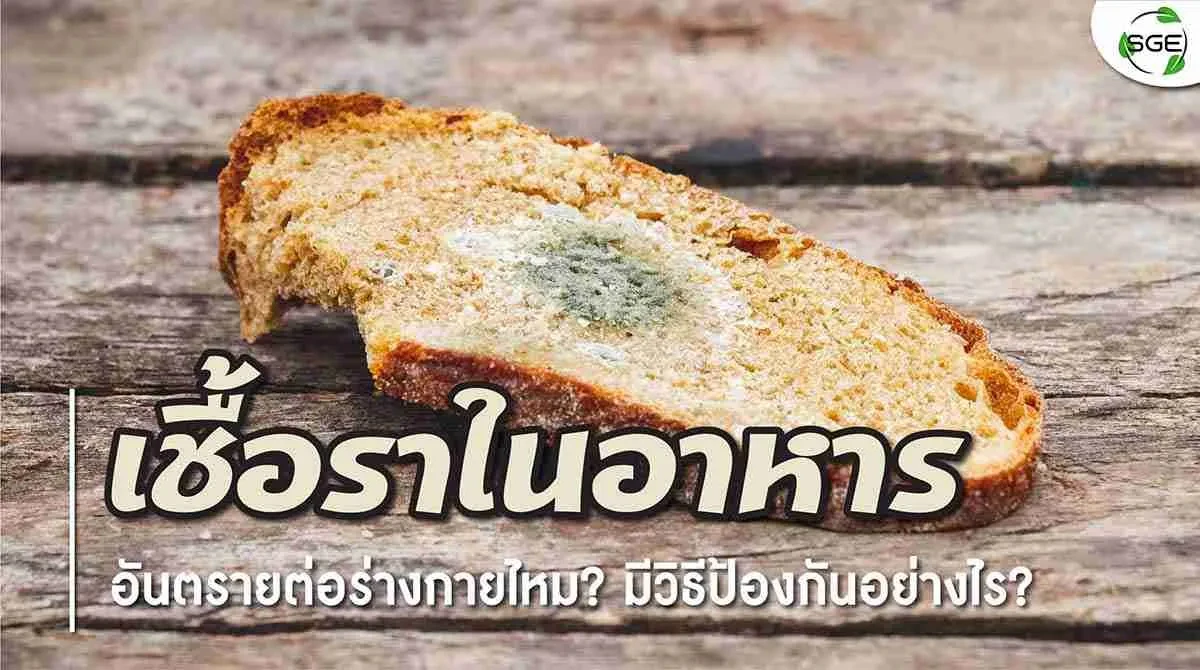 210510-Content-เชื้อราในอาหาร-เกิดจากอะไร-ป้องกันได้อย่างไร-01-compressed