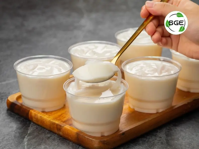 ทำเองง่ายๆ สูตรพุดดิ้ง ขนมหวานเนื้อเด้ง ทานอร่อย ทำได้ที่บ้าน