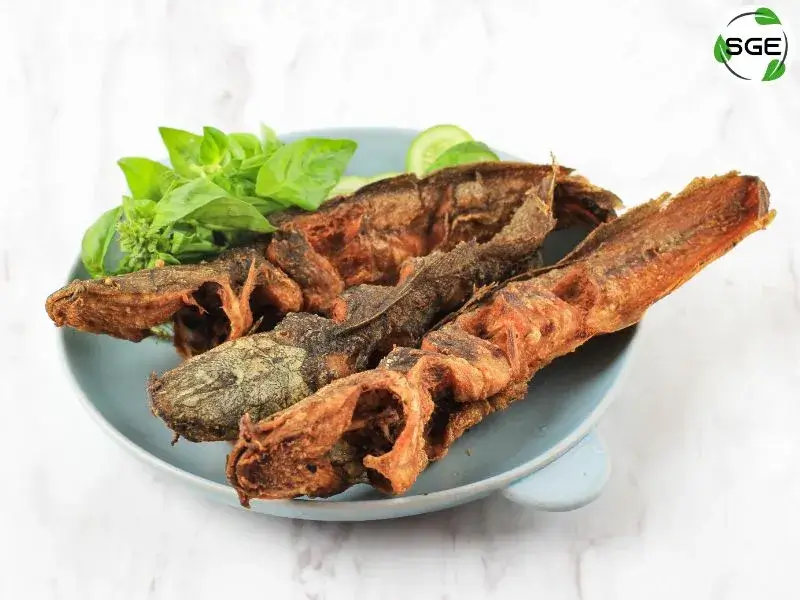 เมนูปลา-fishmenu-08