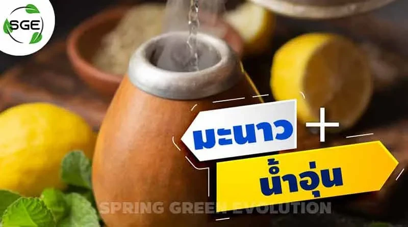 5-สูตร-ดีท็อกซ์ 2021-2
