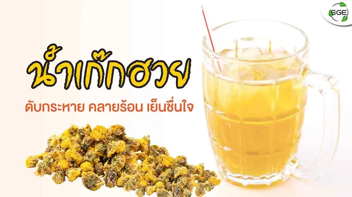 น้ำเก๊กฮวย 2021