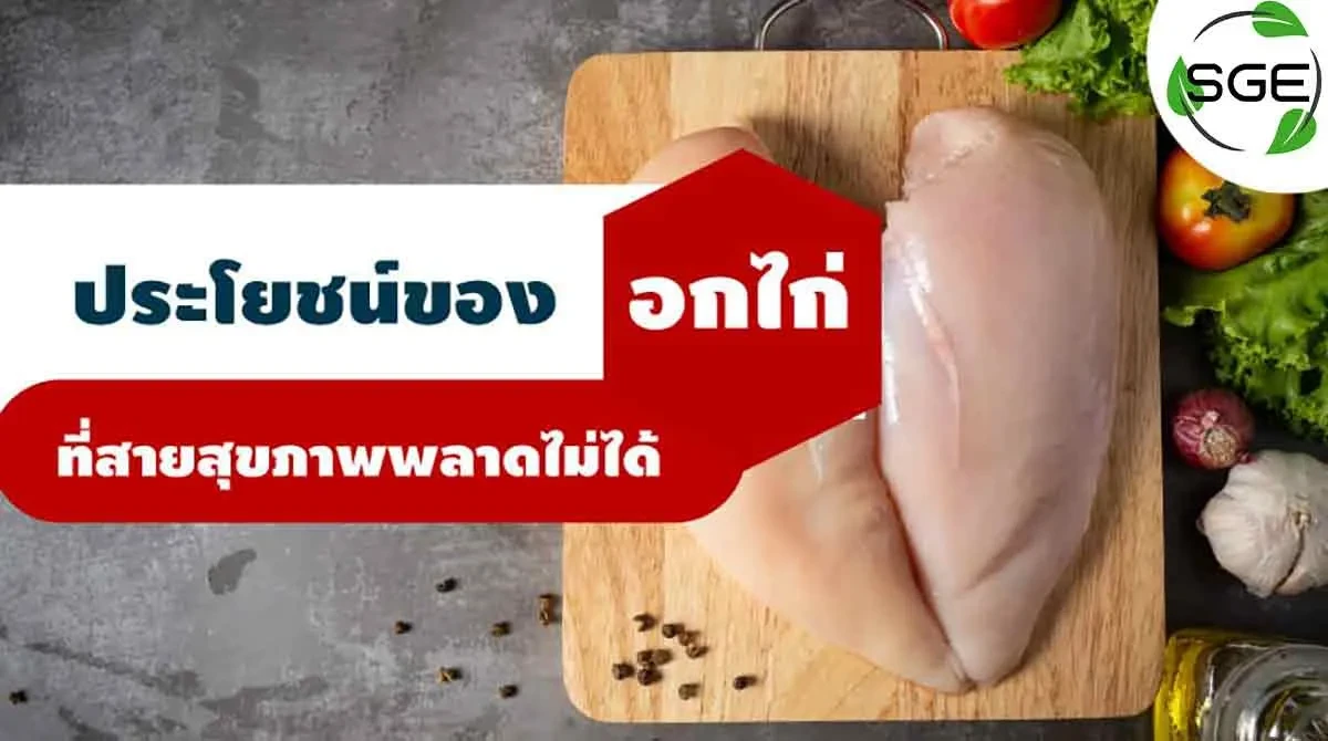 ประโยชน์ของ-อกไก่ 2021