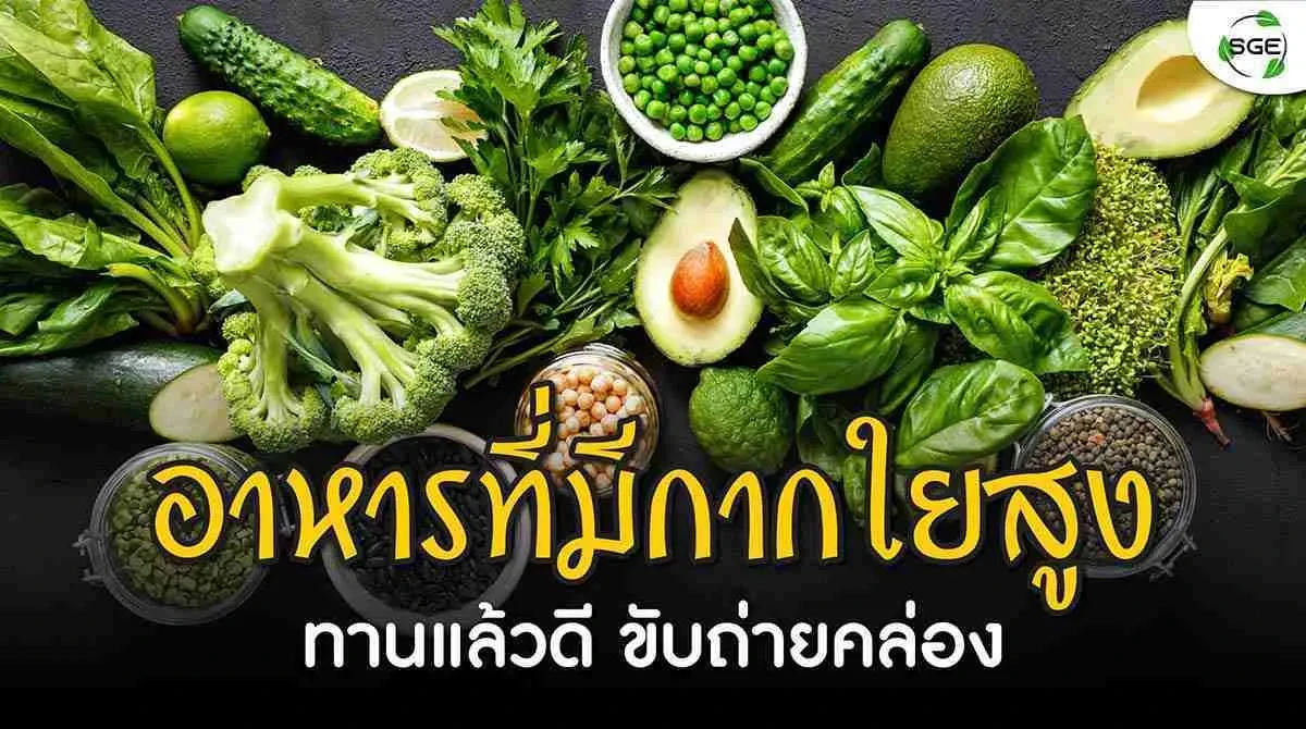อาหารที่มีกากใยสูง 2021