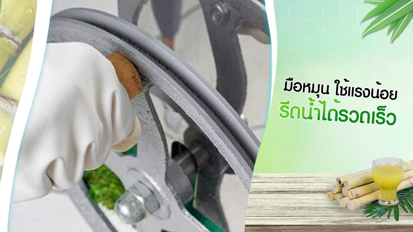 เครื่องคั้นน้ำอ้อย-ระบออโต้-คุณสมบัติ-4 ใส่ใจในความปลอดภัย กับกระจกนิรภัย เตาอบไฟฟ้า เตาอบ