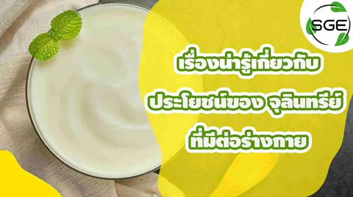 เรื่องน่ารู้เกี่ยวกับประโยชน์ของ-จุลินทรีย์-ที่มีต่อร่างกาย-2-compressed